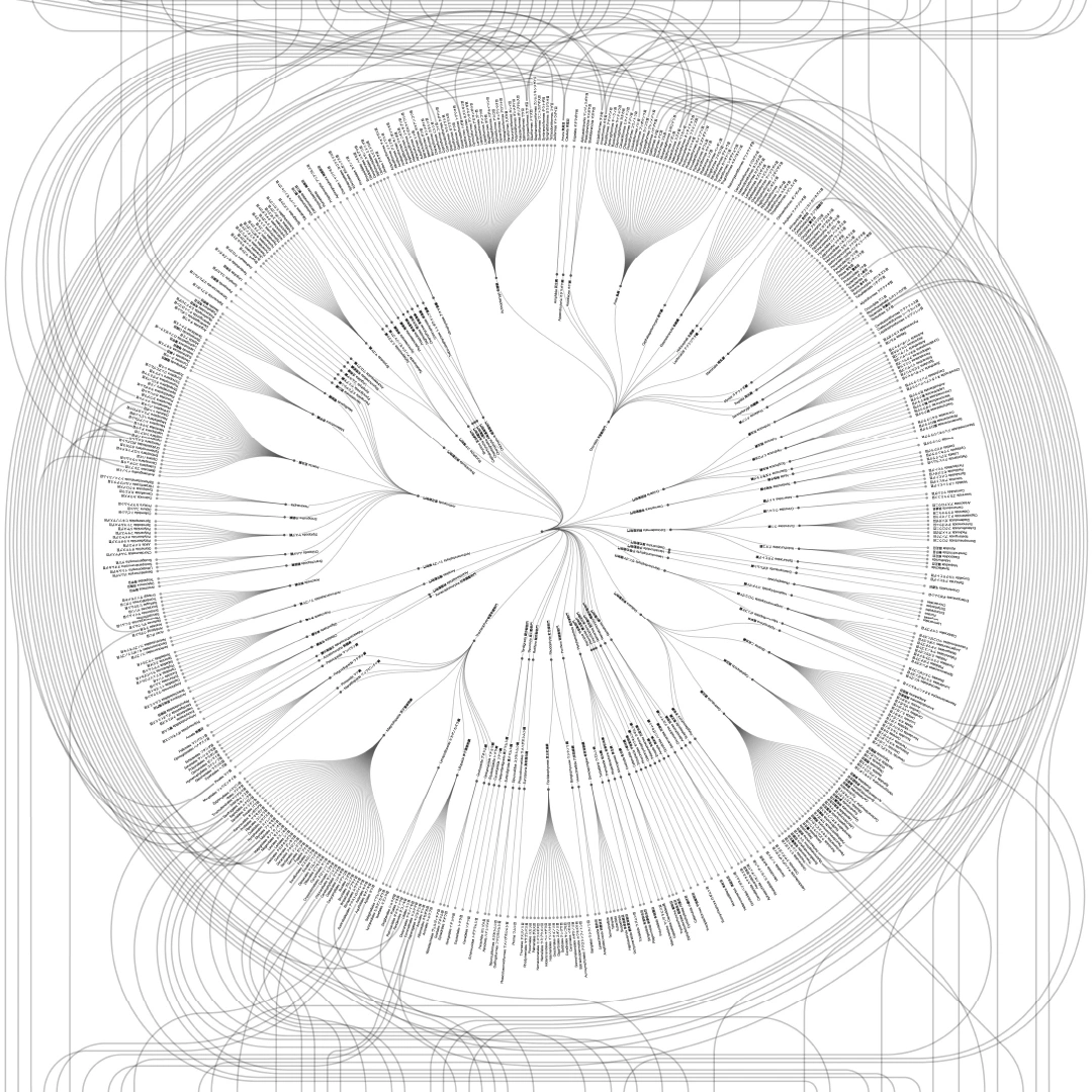 生物多様性超シナプス