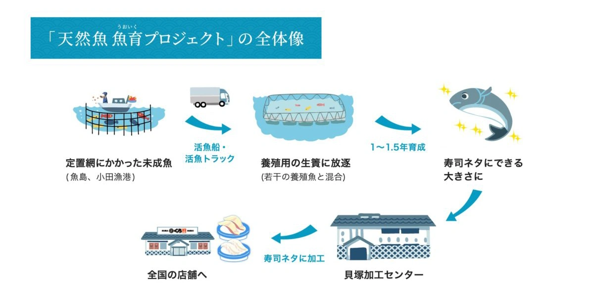 天然魚魚育プロジェクト