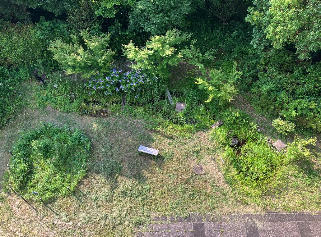 総合研究所ビオトープ